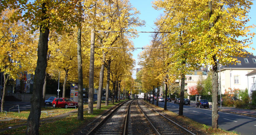 Straßenbahn-Gleise in Lindenthal